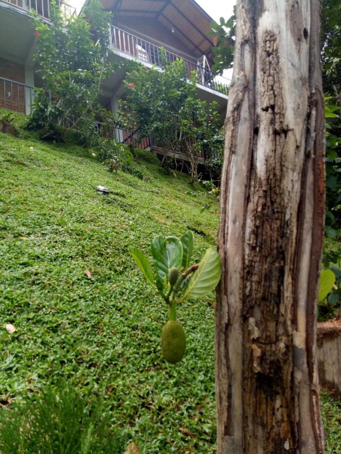 3Arch Eco Cottage Ella Ngoại thất bức ảnh