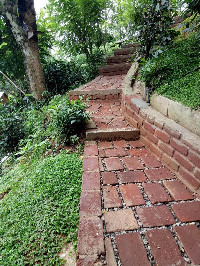 3Arch Eco Cottage Ella Ngoại thất bức ảnh