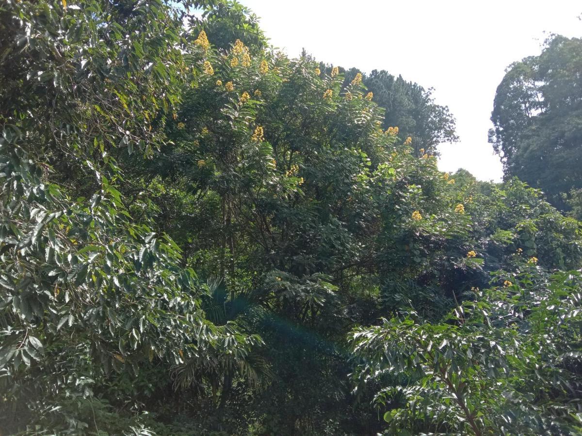 3Arch Eco Cottage Ella Ngoại thất bức ảnh